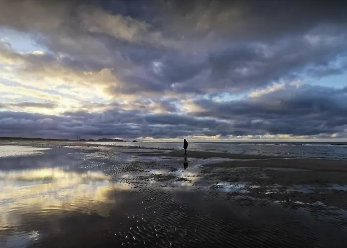 Daire Seascape Penthouse Blankenberge