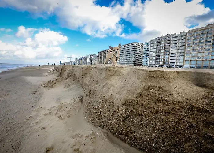 Seascape Penthouse Blankenberge